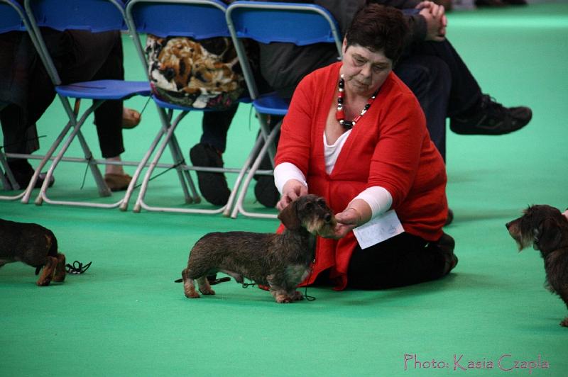 Crufts2011_2 909.jpg